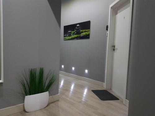 Apartamenty Lazurowy i Słoneczny z darmowym Parkingiem strzeżonym Apartamenty Lazurowy i Słoneczny z darmowym Parkingiem strzeżonym