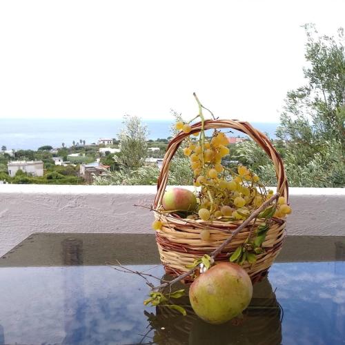 Residence Limoneto Ischia