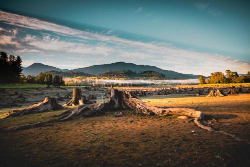 Gateway Inn & Cabins