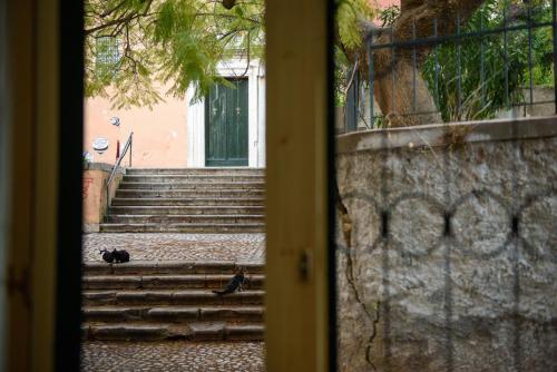  La vecchia bottega del Nonno - Corfu in Korfu-Stadt