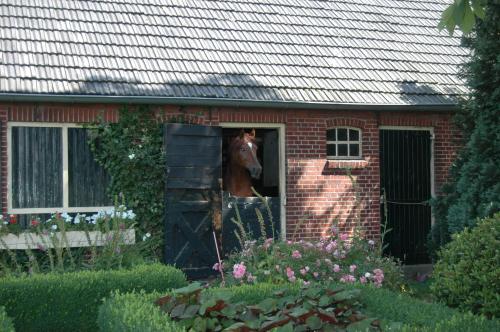 Erve Het Roolvink Boerderij Appartementen 40-50 M2