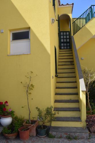 Procida Mare - image 5