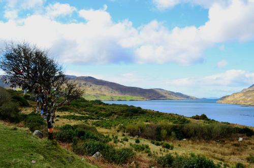 Cottage 194 - Leenane