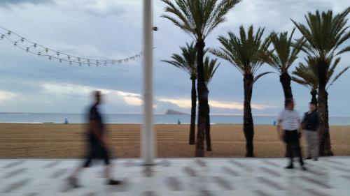 PALOMA DREAM - image 6