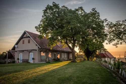  Winzarei, Weingut Tement, Pension in Berghausen