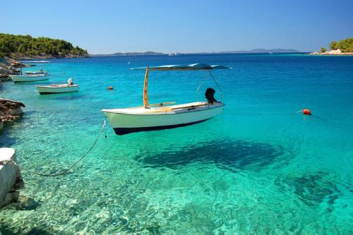 Holiday Home Aspalathos - with free parking, near the beach, a few minutes' walking distance to the UNESCO Palace, Split (fotografie 8)