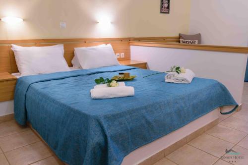 Junior Hotel in Iria