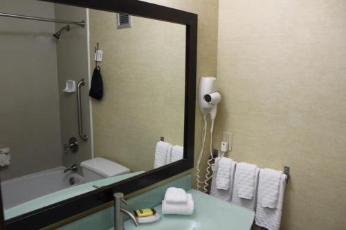 Best Western Plus Portage Hotel And Suites