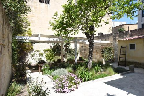 Il Giardino Di Benedetta 5