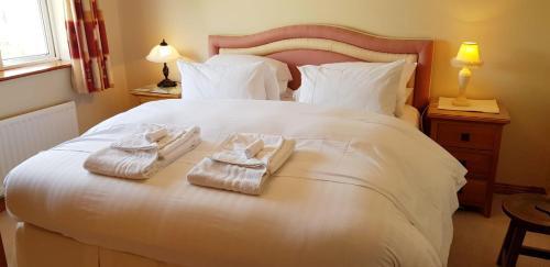 Claremount House B&B - image 14