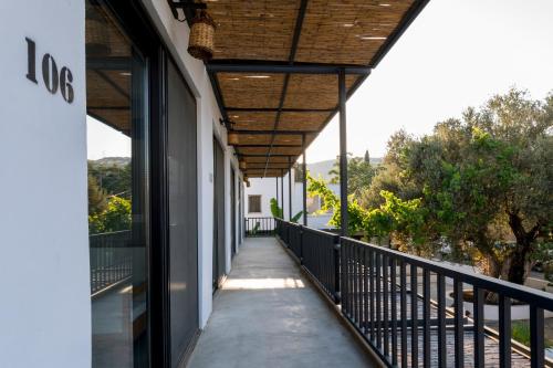 مدخل, فندق دافنيس (Daphnis Hotel) in Golturkbuku