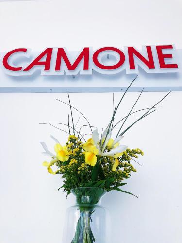 Camone Apartamento in Lagos