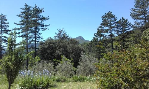 สวน, Mas Ferrieres Saint Laurent in โอเชี่ยนฟรอนท์