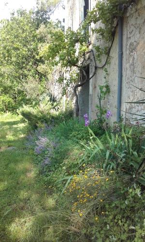 Accommodation in Saint-Laurent-le-Minier