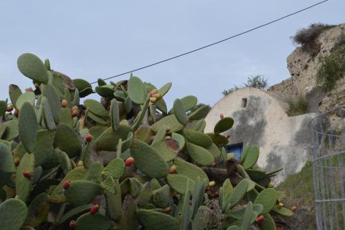 Agrilia secluded cave house