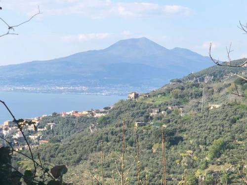  B&B Cosy Room, Pension in Vico Equense