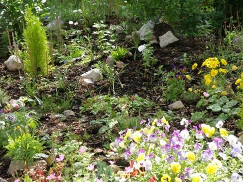 Kettle House B&B - image 7