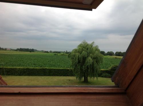 B&B Decoster - main image
