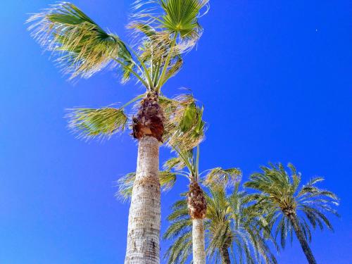  Apartment Perfect Stay Javea in Jávea