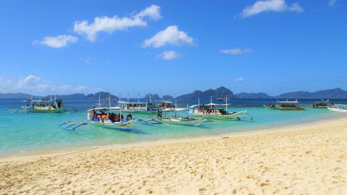 ロロ オヨン エル ニド ペンション ハウス