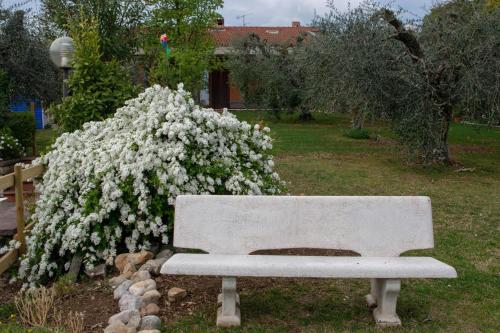 El Rincon del Artista - image 2