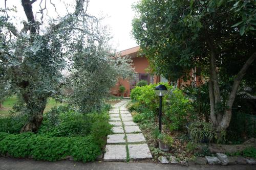 El Rincon del Artista - image 7