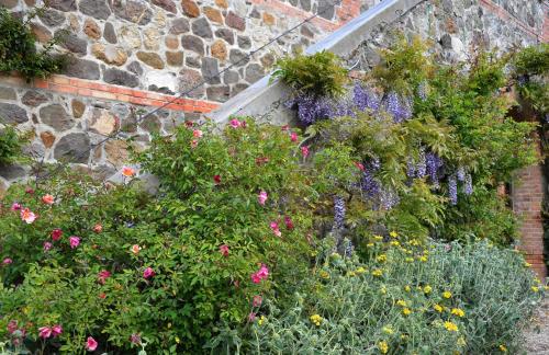 Chiarentana di Donata Origo