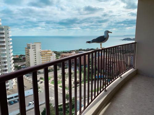 Panoramic Apartment in Portimao: Ocean view, WiFi Over view