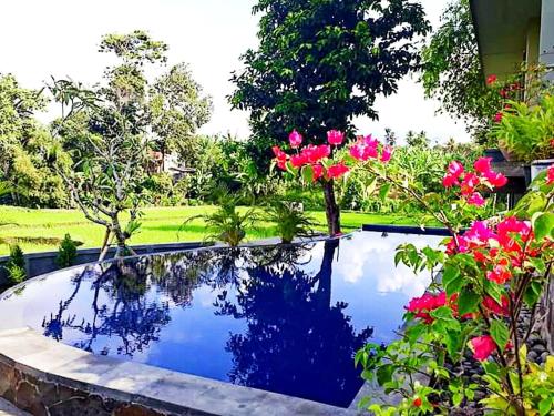 Medewi Beach View Villa photo
