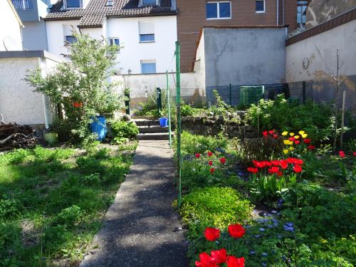 Apartment Haus photo 1