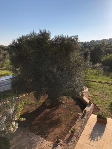 B&B Terre di Kalia - image 5