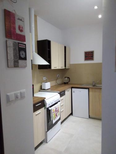 virtuve, Studio Apartment in Palamartsa in Palamartsa