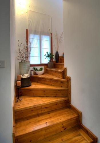 Lania Royal Oak House - image 5