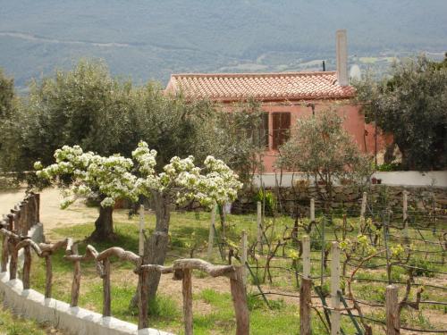 Villa L'Oleandro