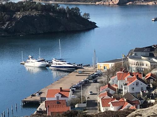 Marinan Richters - image 11