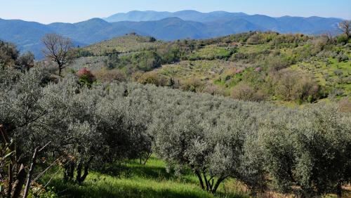 Agriturismo Il Casaletto