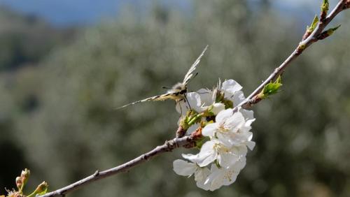 Agriturismo Il Casaletto