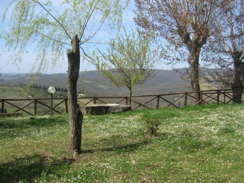 Camere e Appartamenti Baldini Romanita – Radda, WI