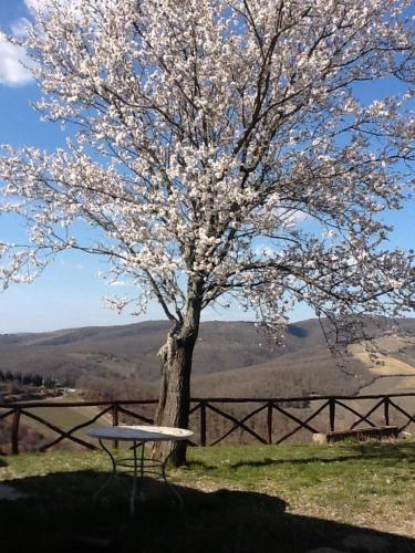 Camere e Appartamenti Baldini Romanita – Radda, WI