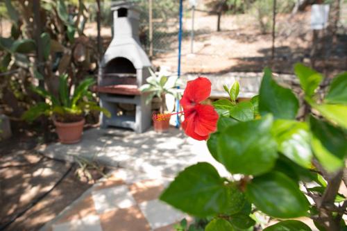 Two room apartment near the beach - image 10