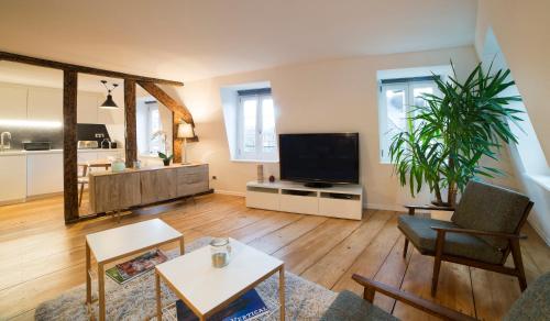 Appartement Cocoon Hypercentre, Strasbourg (photo 6)