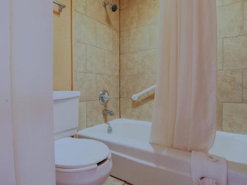 Lakeview Inn - Kingston - image 5