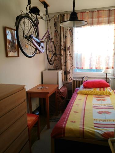  Sweet home Kisfaludy in Budapest