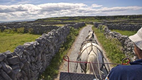 Boherbui Cottage on the Wild Atlantic Way in Coogyulla
