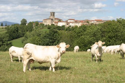 La Paresse en Douce