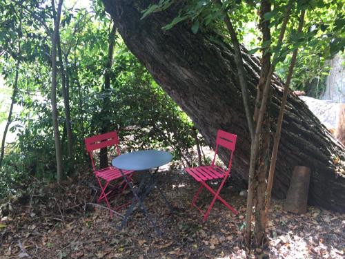 Nyons Centre Appart#3: terrasse 20m2 sur riviere, jardin, plage