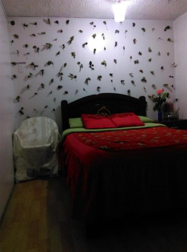 Escocie - Quito, Quito