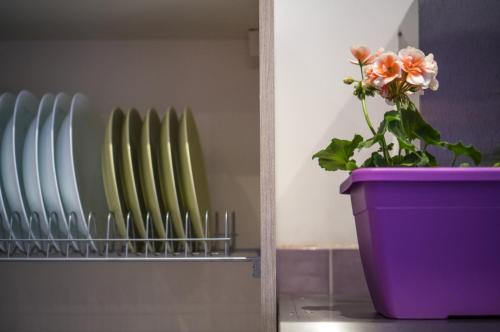 Lanzies Guesthouse - image 7