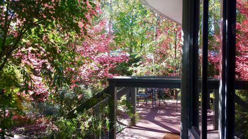 ทัศนียภาพ, Dalrymples Guest Cottages in แมรีส์วิลล์