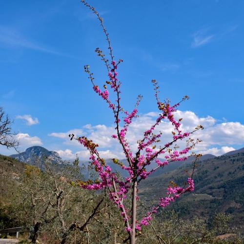 Agriturismo Il Casaletto